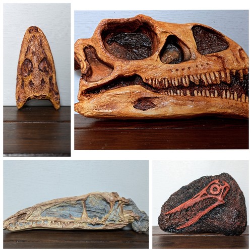 Dinosaur skull replicas - replicas, |