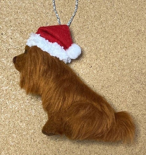 Cavalier king charles spaniel - charles,