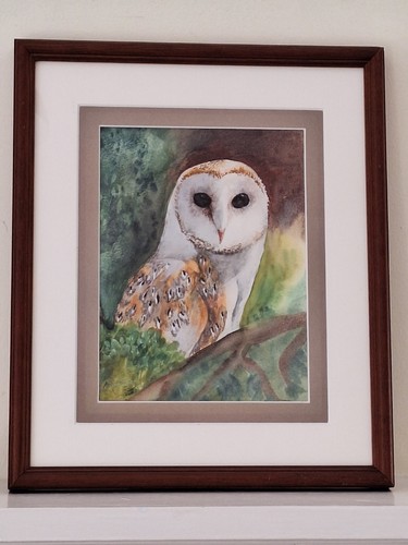 Original barn owl - barn,