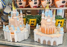 Disney Parks Magic Kingdom