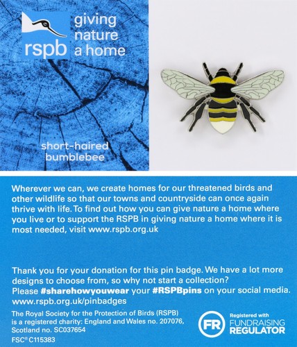 Rspb pin badge - pin,