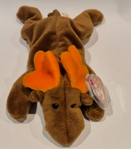 Chocolate the moose - moose, beanie