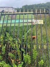 Pair of 12 x 6 foot iron gates (1950s)