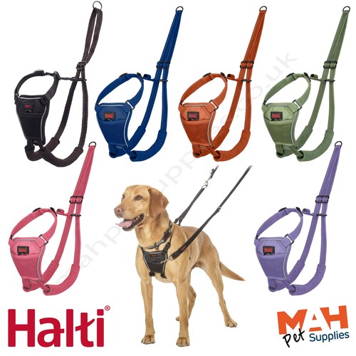Halti pull harness - no, dog