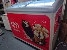 Freezer - Stand alone walls ice cream freezer  BARGAIN - REDUCED PRICE