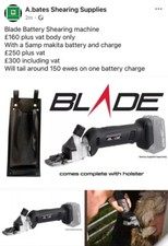 Blade Battery Shearing Machine