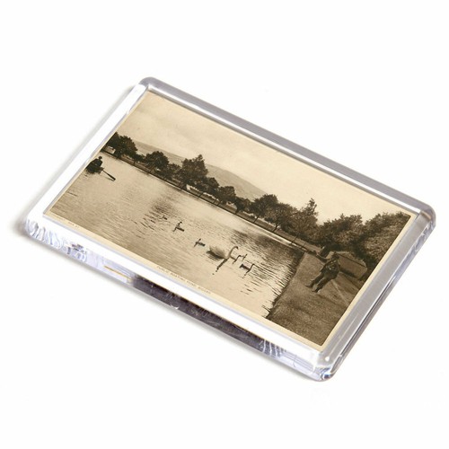 Fridge magnet vintage - magnet,