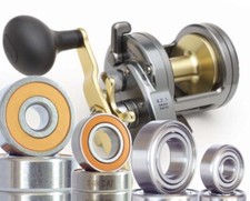 Shimano Torium Bearing Kits Stainless Steel and Ceramic Hybrid Options