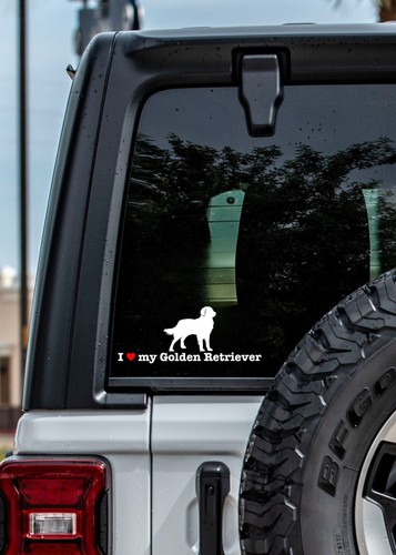Love golden retriever - love,