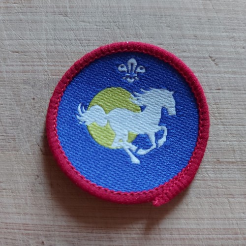 Scouting scout activity - uk,