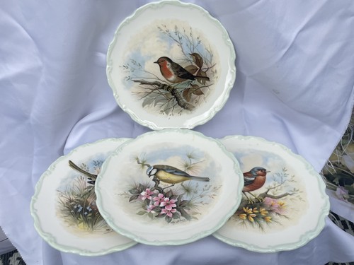 Royal albert woodland birds - ,