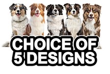 Australian Shepherd Self