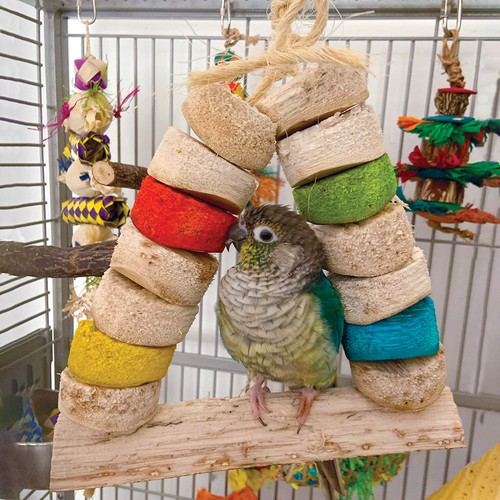Carnival bird kabob swing - kabob,