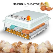 36 Egg Incubator with
