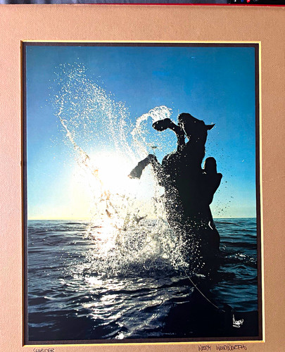 Woody woodworth searider - woody,