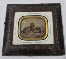 Vintage framed picture of hunting dog Rabbit/ Pheasant