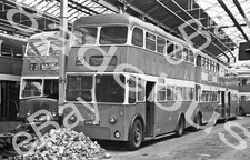 Bus Negative & Copyright