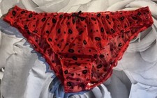 Woman’s CD TV sexy Sheer Stretchy knickers Panties Briefs underwear Size L 14