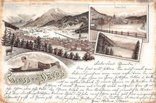 L409 Switzerland Gruss aus Davos 1899 man sledge litho vintage postcard