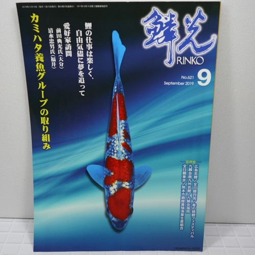 Rinko 錦鯉 sep 2019 japanese - rinko,
