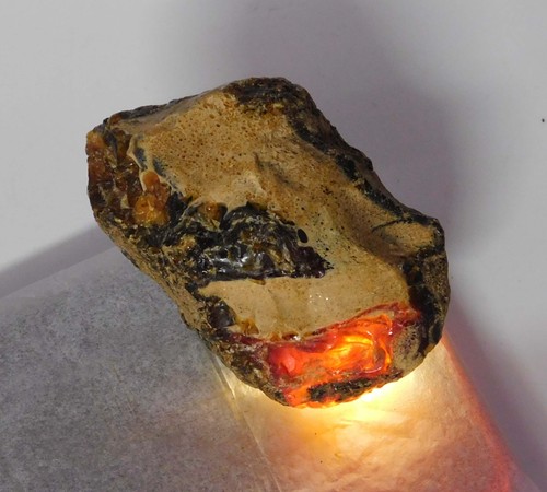Amber 219 natural - ct,