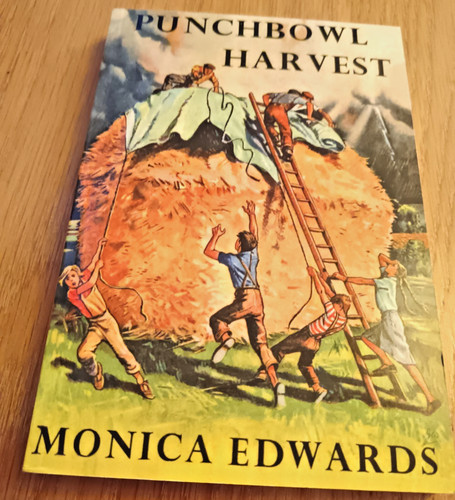Monica edwards punchbowl - edwards,