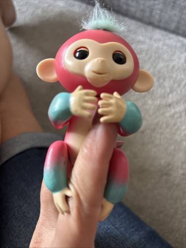 Fingerling monkey pink - , with