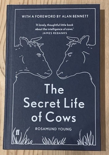 The secret life cows - secret, of