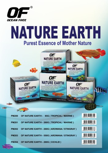 Ocean free nature - ocean, earth