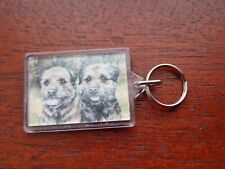 * Border Terrier keyring