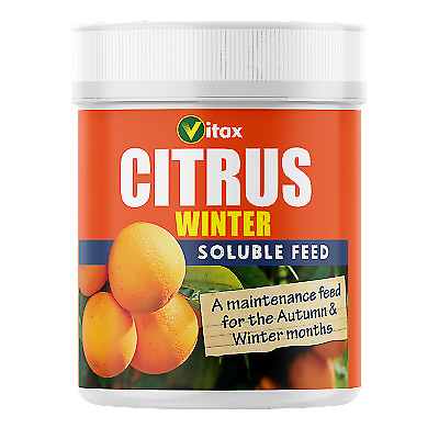 Vitax citrus tree food winter - citrus,