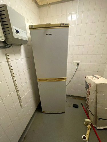 Bush freestanding - bush,