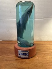 Vintage Real Shark in a Bottle