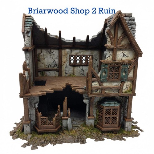 Briarwood shop ruin - briarwood,