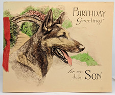 Vintage Alsatian Dog Puppy