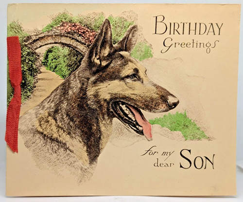 Vintage alsatian dog - dog, puppy