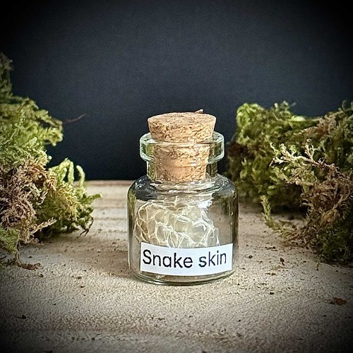 Snake skin curio jar - skin,