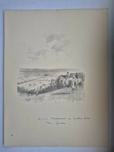 Antique pencil drawing fox - drawing,