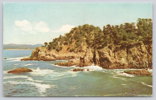 Point lobos state park - point,