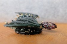 Horned Young Dragon Citadel