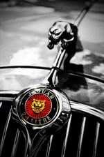 Jaguar Motor Car Leaping Cat