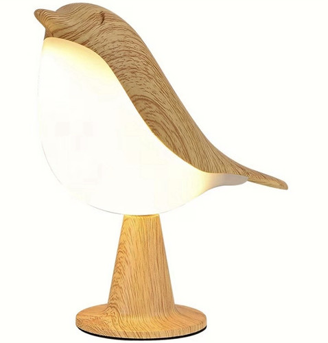 Bird led night - night, light