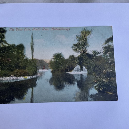 Middlesbrough the duck lake - the,