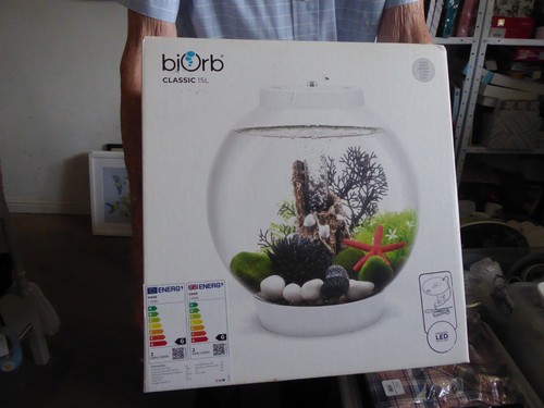 Brand new biorb - , fish