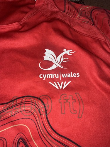 Wales team training jersey - team,