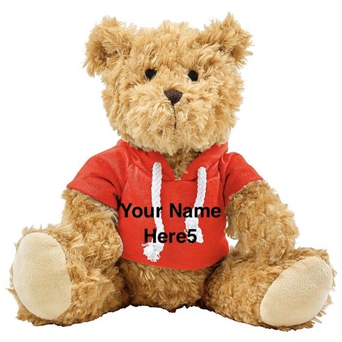Embroidered hooded teddy - teddy, bear