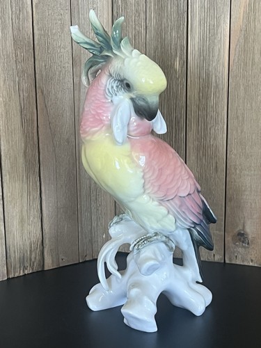 Karl ens cockatoo parrot bird - ens,