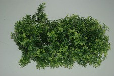 Vivarium Realistic Plastic