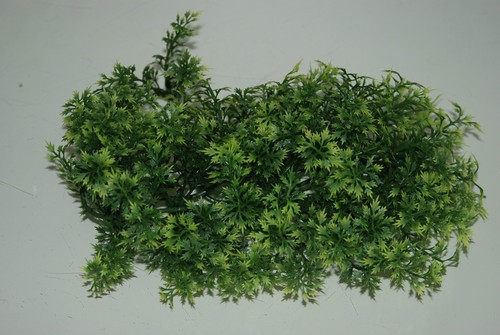 Vivarium realistic plastic - vivarium,