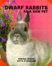 Dwarf rabbits as a new pet - FREE Shipping